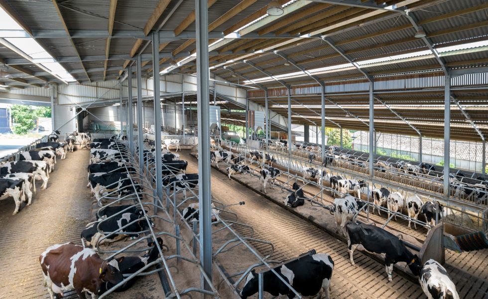 Eternit, sajandi jagu katusekattematerjale talunikele