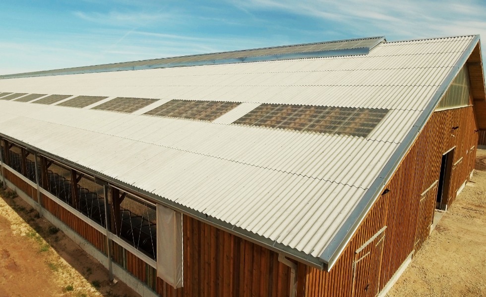 Kuidas aitavad põllumajanduslikud katuselahendused viia loomade heaolu parimale tasemele  